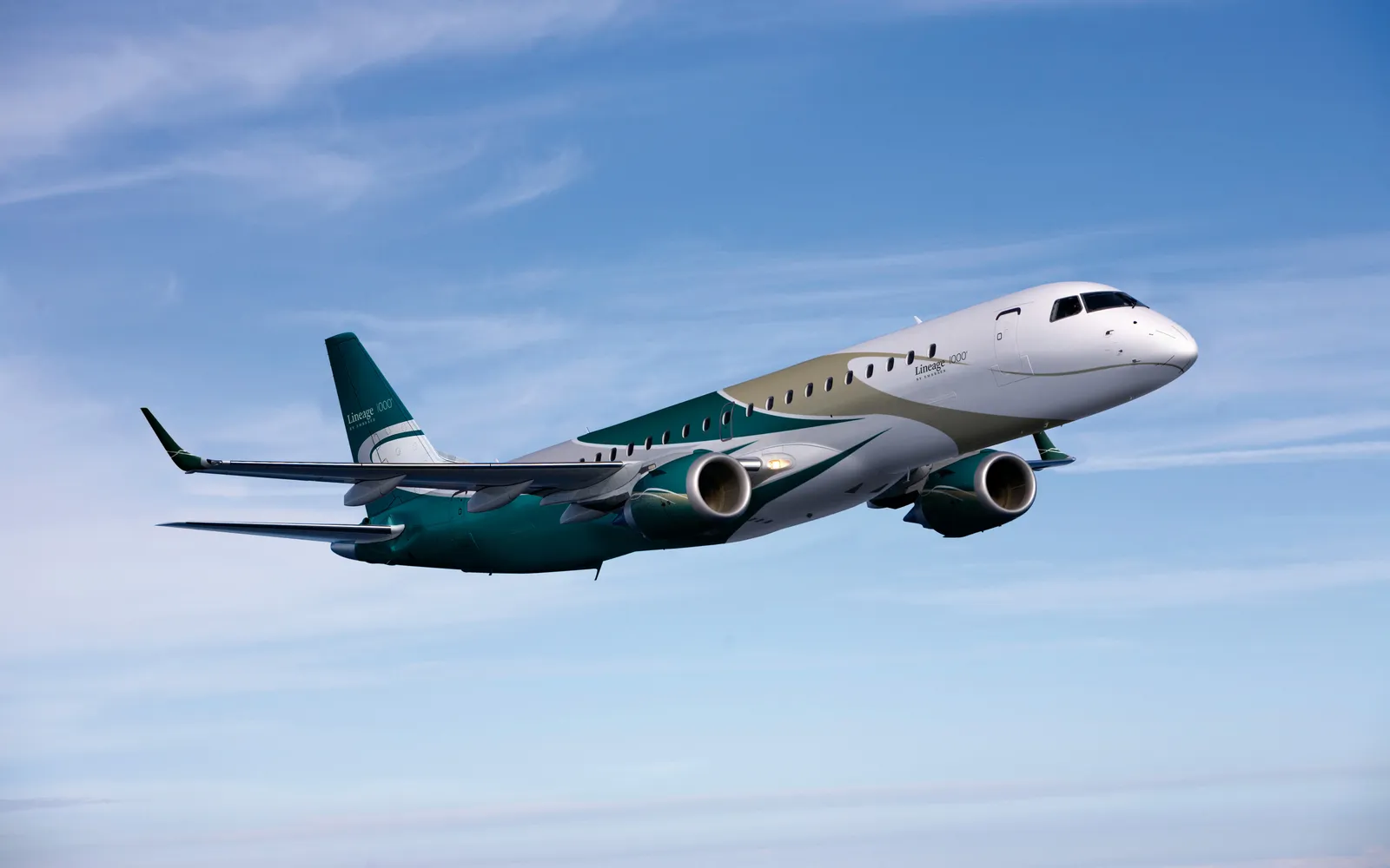 Embraer Lineage 1000, exterior