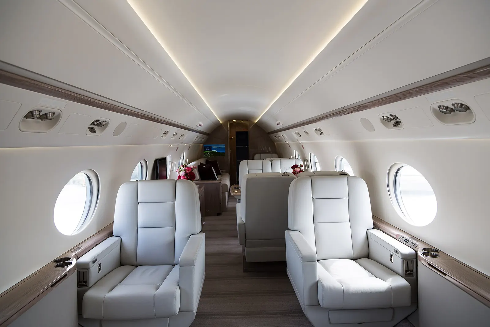 Gulfstream G550, exterior